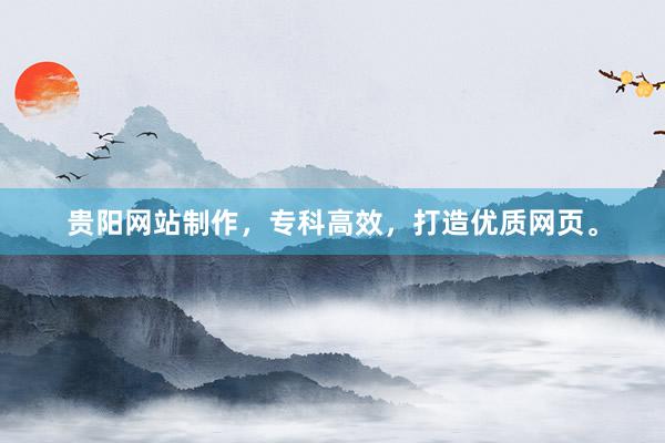 贵阳网站制作，专科高效，打造优质网页。
